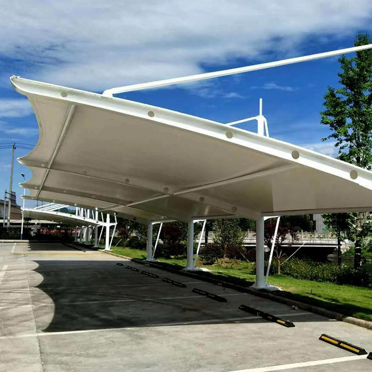 静海区膜结构汽车棚